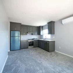 Compact Modern Kitchen ADU